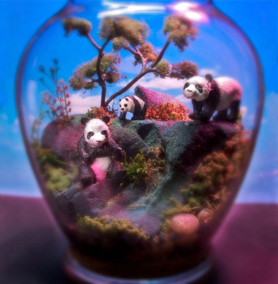 The Wonder Room,чудесная комната, сказочные, миниатюры, за стеклом, Тони Ларсон, Tony Larson