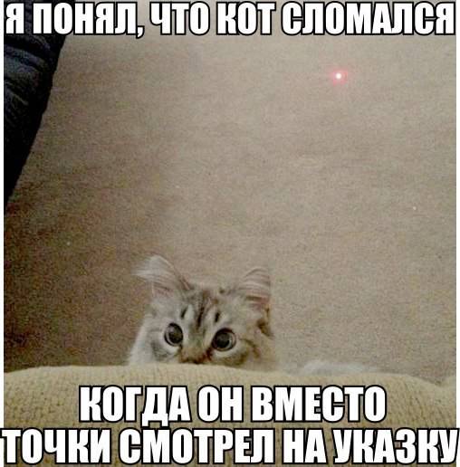 Позитив, юмор, смешные фотографии,прикол