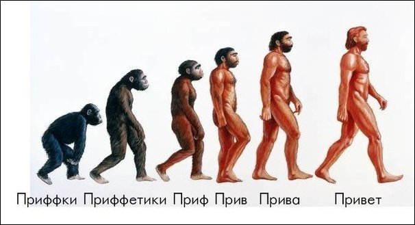 Позитив, юмор, смешные фотографии,прикол