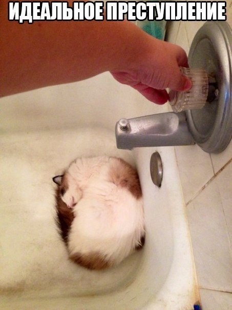 Позитив, юмор, смешные фотографии,прикол