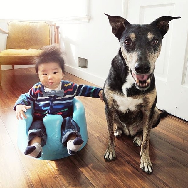 Zoey and Jasper, Зои и Джаспер, Грейс Чон (Grace Chon)