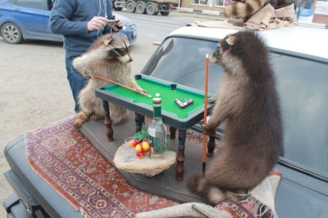 умом россию не понять угадай страну россия удивительная страна