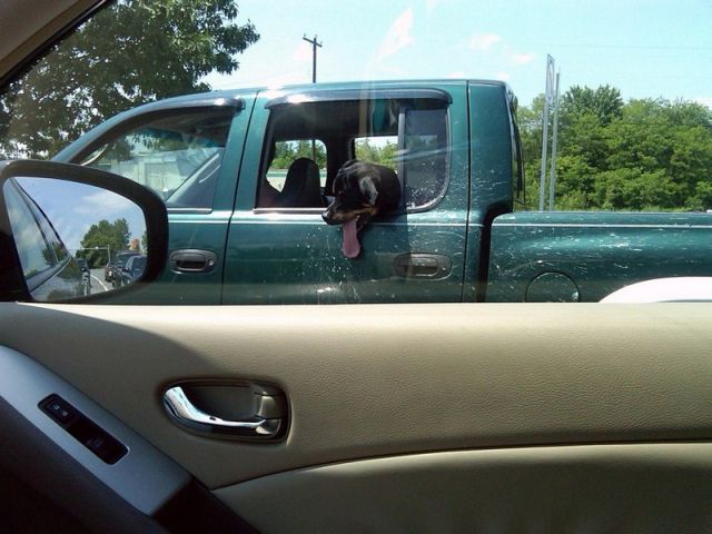 странности на дорогах, странности в пути, чудаки на дороге