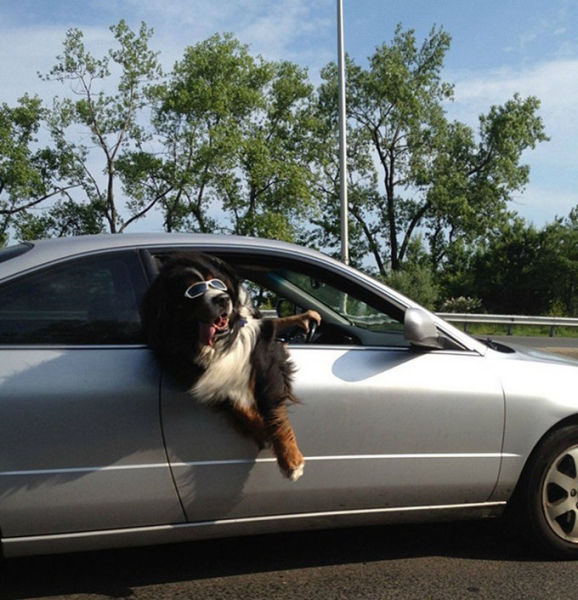 странности на дорогах, странности в пути, чудаки на дороге