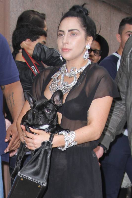 леди гага без парика, леди гага прозрачный лифчик, леди гага без макияжа, Азия