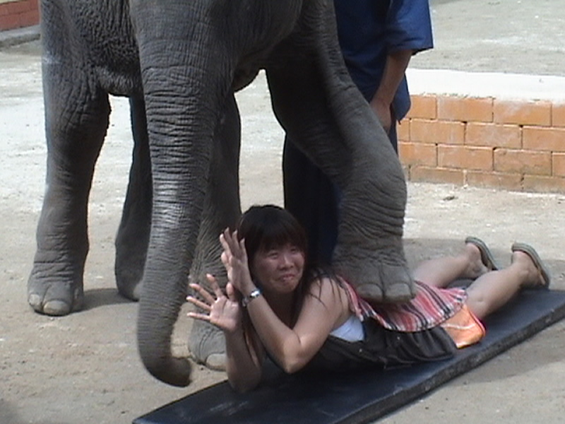 странные виды массажа, массаж питонами, кактусовый массаж