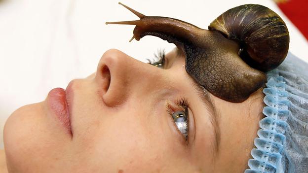 странные виды массажа, массаж питонами, кактусовый массаж