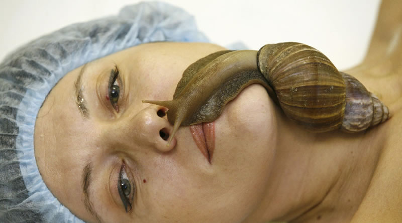 странные виды массажа, массаж питонами, кактусовый массаж