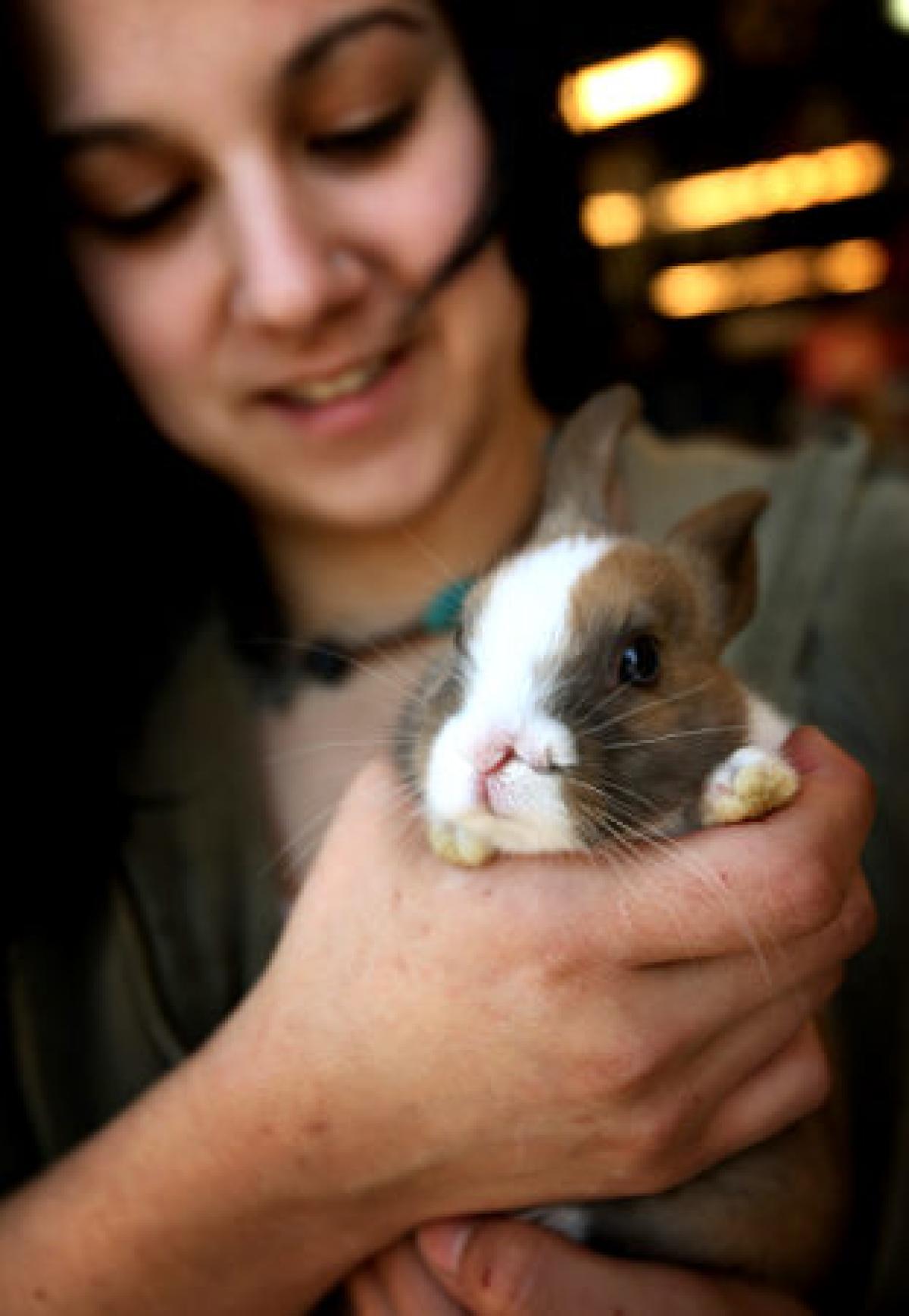 животные с аномалиями, животные с отклонениями 