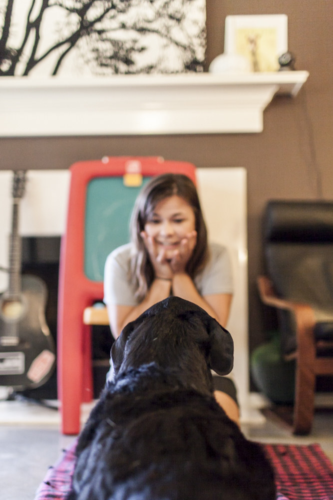 Сегодня я умер: последний счастливый день в жизни собаки больной раком последний день жизни Дюкей, Дюкей рак усыпили, последний счастливый день в жизни собаки, история Дюкей последний день