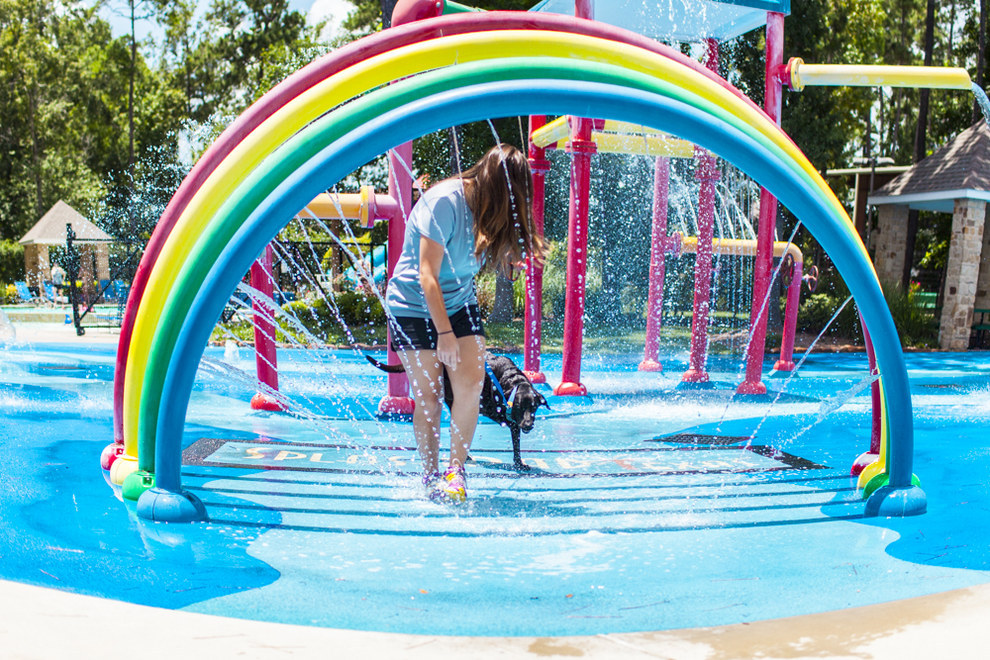 Сегодня я умер: последний счастливый день в жизни собаки больной раком последний день жизни Дюкей, Дюкей рак усыпили, последний счастливый день в жизни собаки, история Дюкей последний день