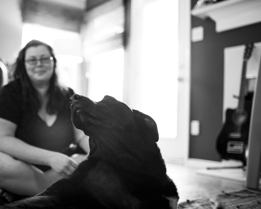 Сегодня я умер: последний счастливый день в жизни собаки больной раком последний день жизни Дюкей, Дюкей рак усыпили, последний счастливый день в жизни собаки, история Дюкей последний день