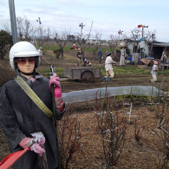 Что так много людей делает на этом участке? Много чучел в огороде, чучела в огороде японского фермера, Нобую Онимуши, Nobuou Onishi