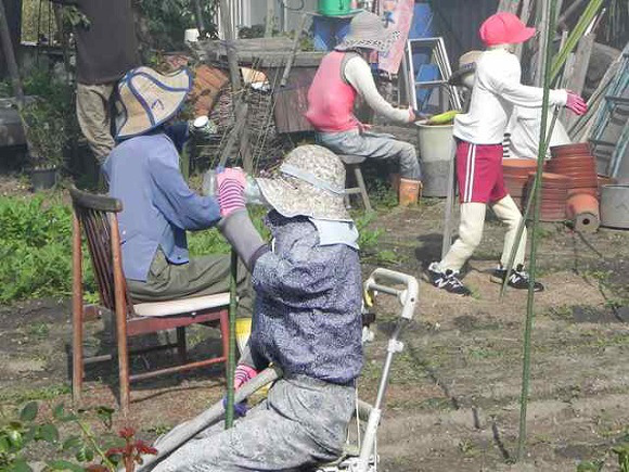 Что так много людей делает на этом участке? Много чучел в огороде, чучела в огороде японского фермера, Нобую Онимуши, Nobuou Onishi