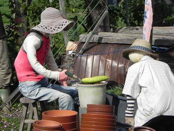 Что так много людей делает на этом участке? Много чучел в огороде, чучела в огороде японского фермера, Нобую Онимуши, Nobuou Onishi