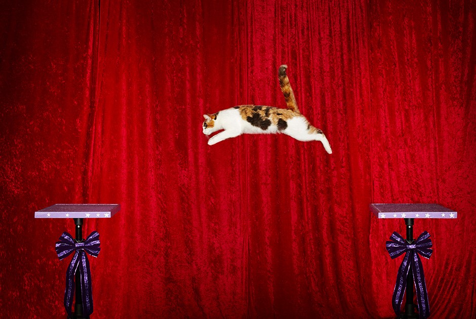 Книга рекордов Гиннесса 2015, участники книги рекордов гинесса 2014 