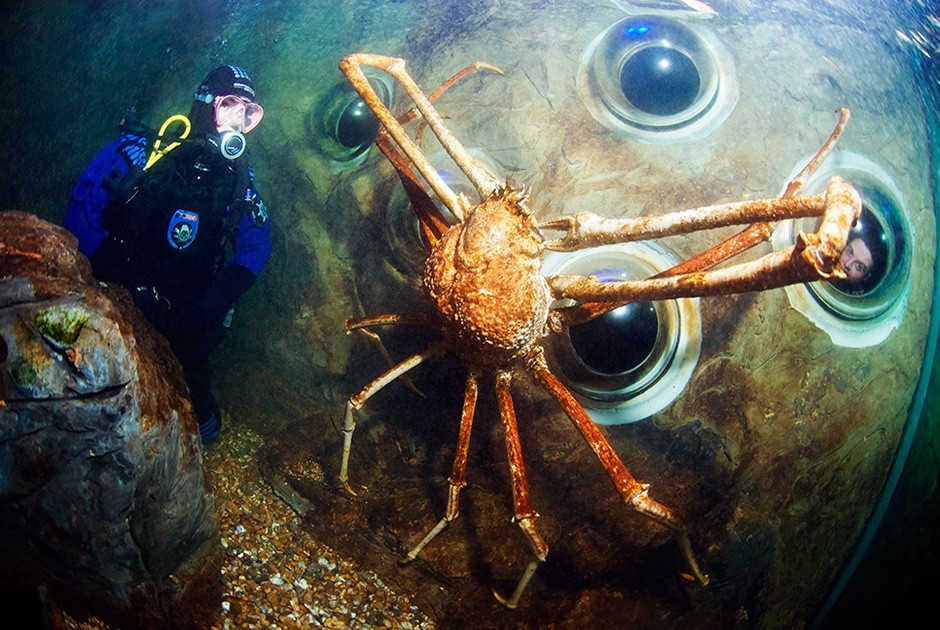 Книга рекордов Гиннесса 2015, участники книги рекордов гинесса 2014 