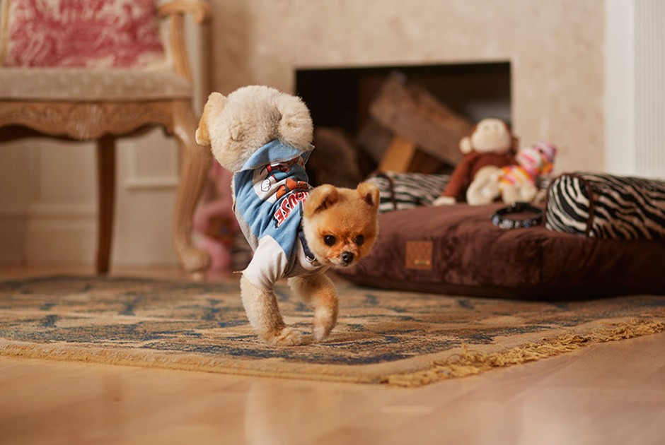 Книга рекордов Гиннесса 2015, участники книги рекордов гинесса 2014 