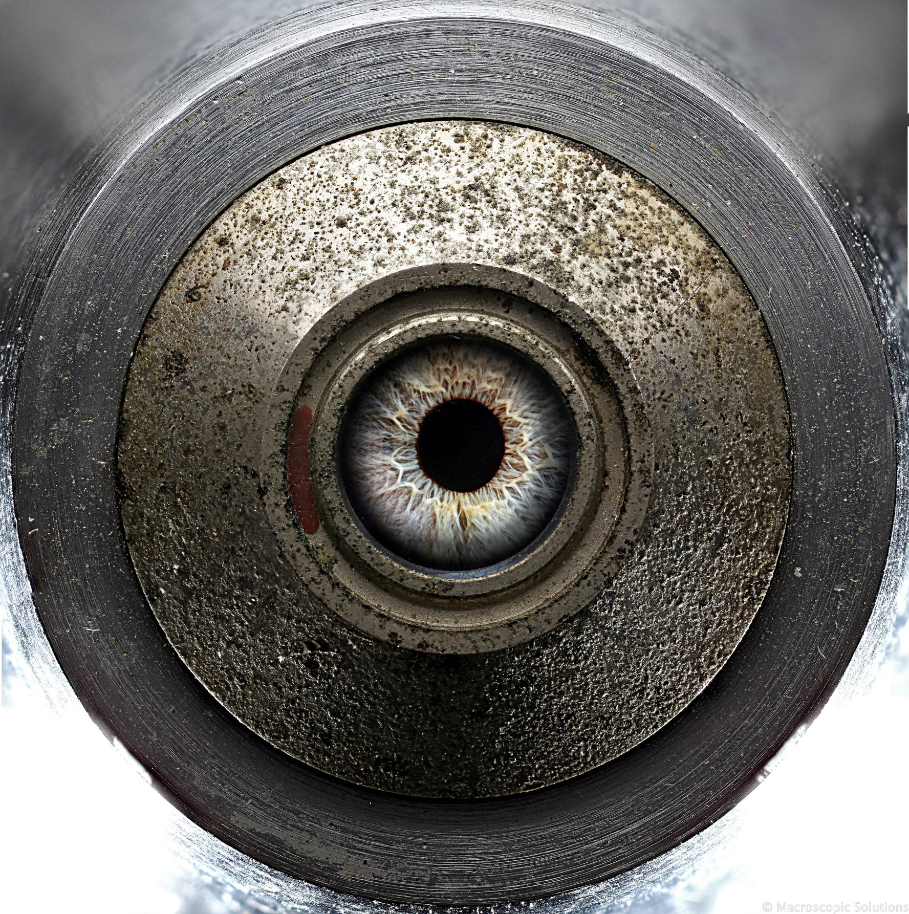 20 удивительных фотографий, которые вас поразят удивительные фотографии, фотографии которые поразят