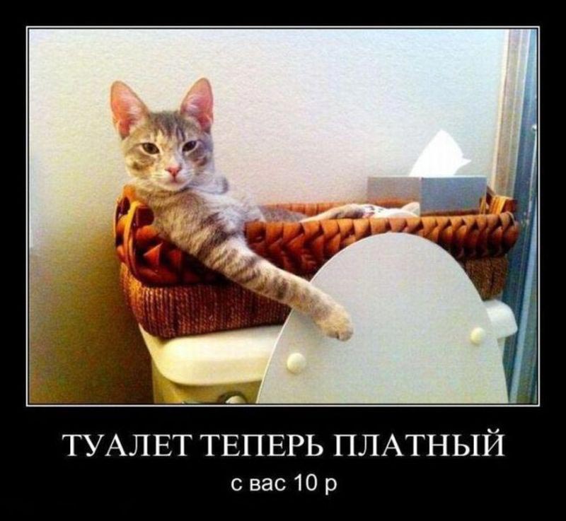 за один доллар, что можно купить за один доллар в разных странах 