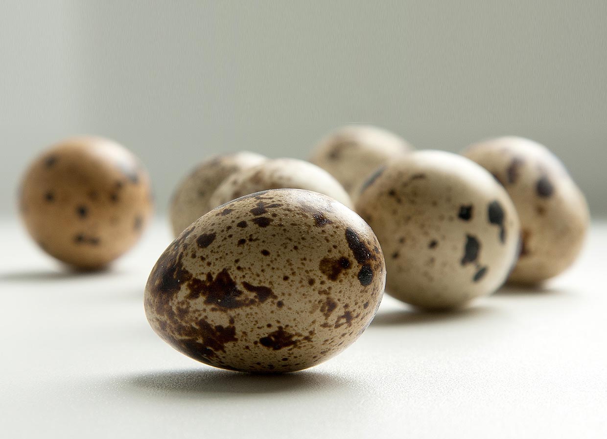 за один доллар, что можно купить за один доллар в разных странах 