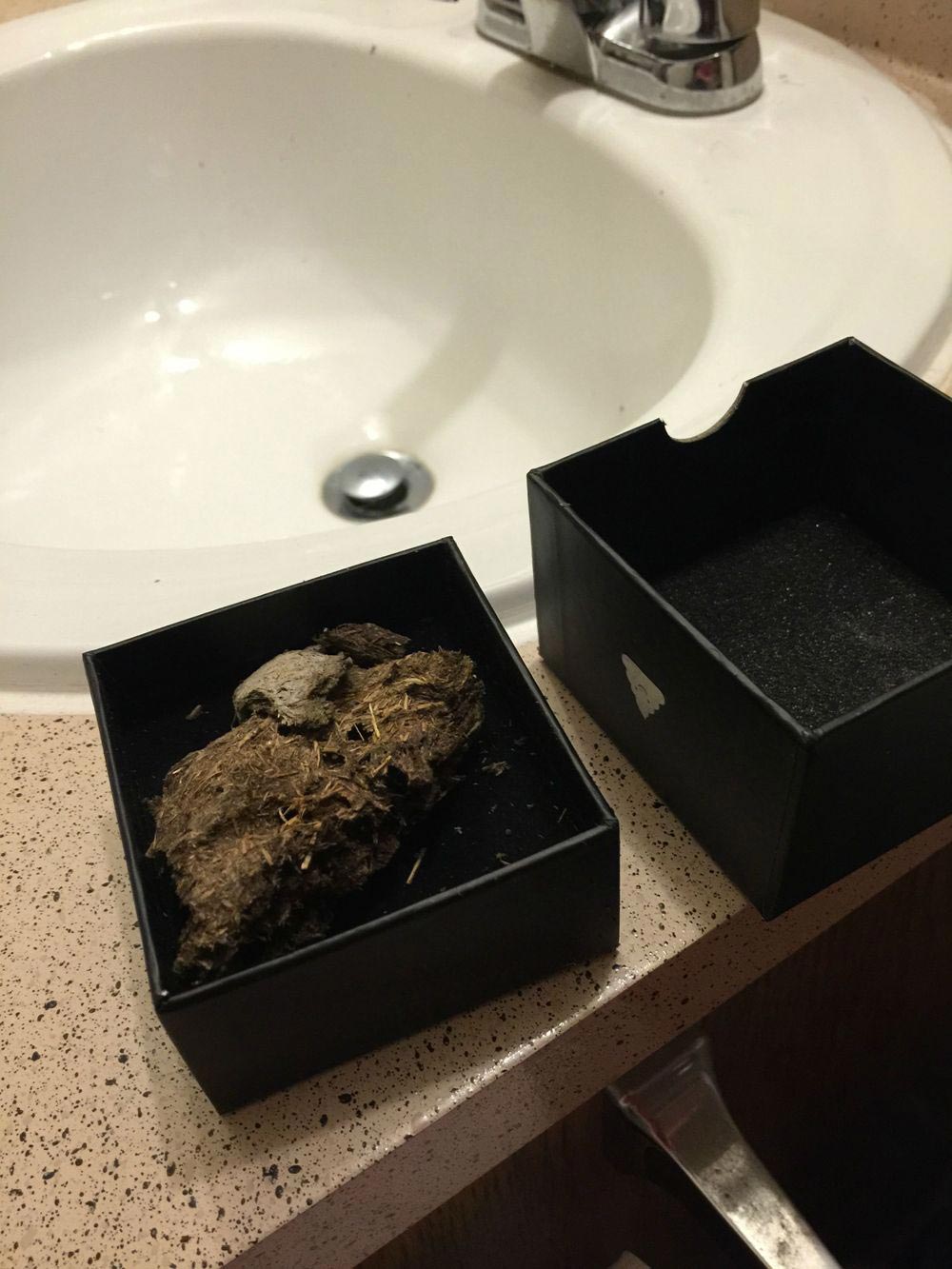 Bullshit Box: давайте посмотрим, что лежит в коробке с какашкой Bullshit Box, что внутри Bullshit Box, анбоксинг Bullshit Box