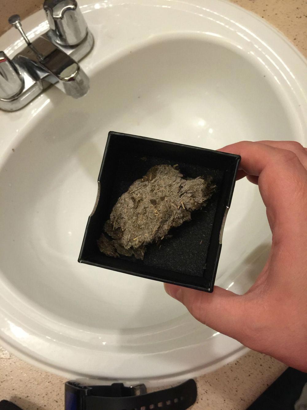 Bullshit Box: давайте посмотрим, что лежит в коробке с какашкой Bullshit Box, что внутри Bullshit Box, анбоксинг Bullshit Box