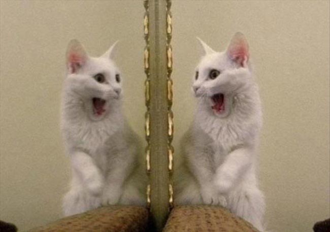 поход по магазинам кошмар, девушки не любят покупать одежду, покупка одежды кошмар для женщин