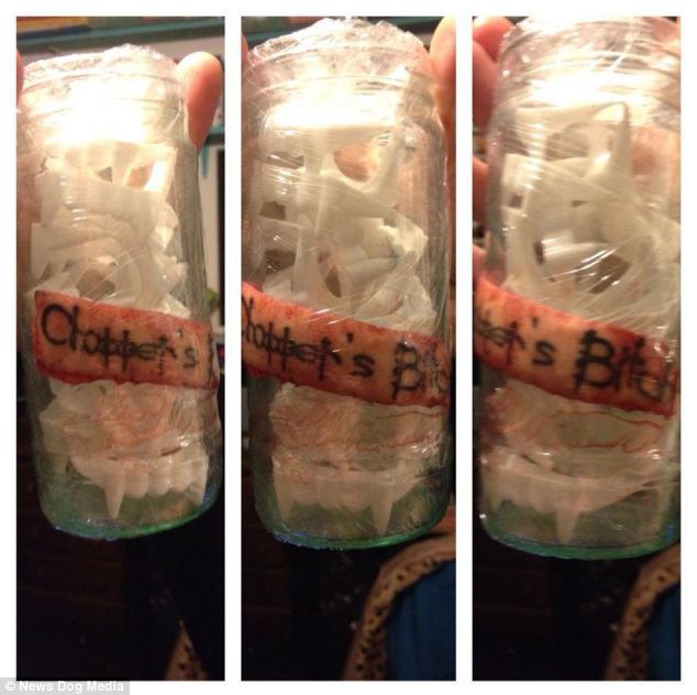 Торз Рейнольдс, Torz Reynolds, срезала татуировку, экс-бойфренд,