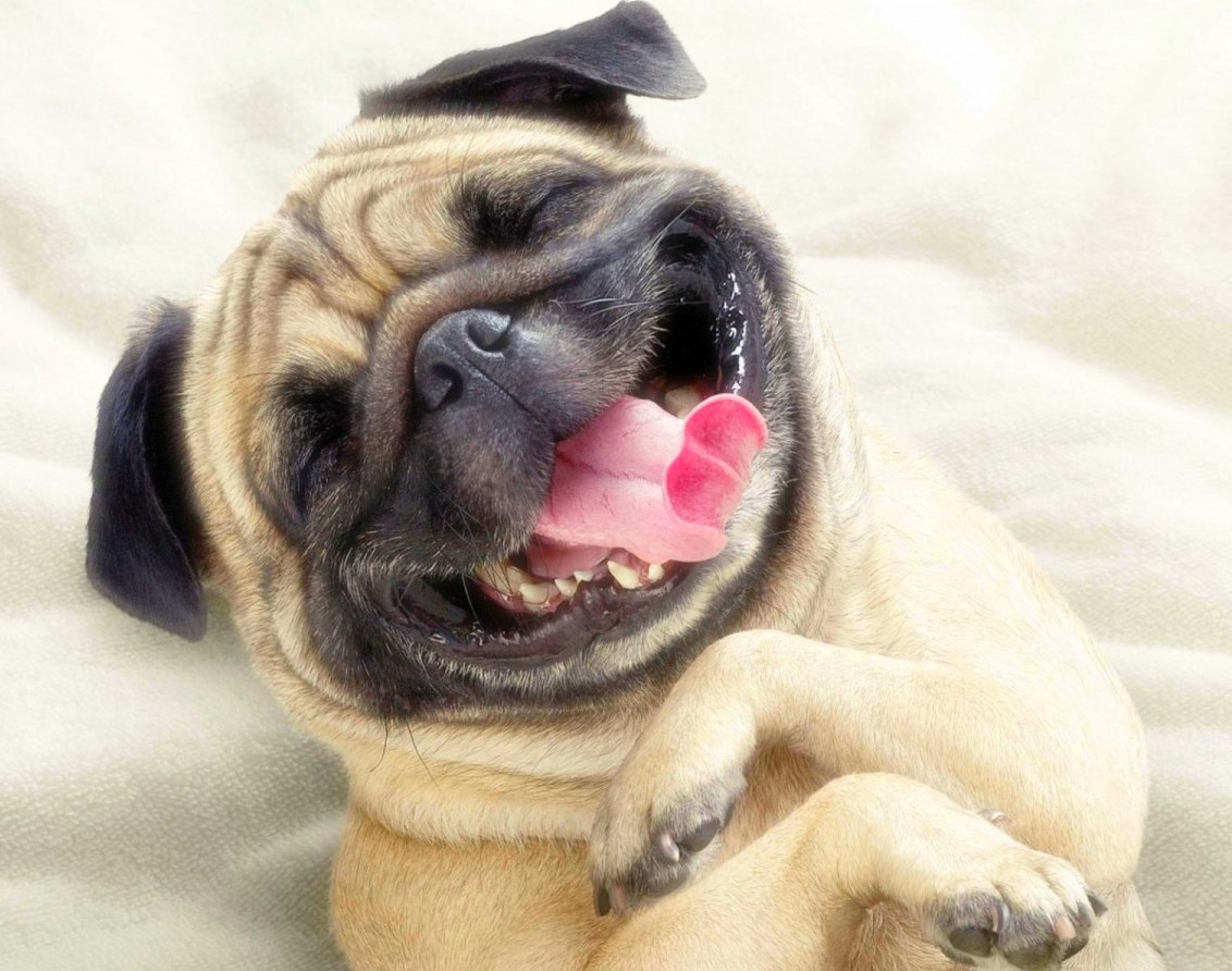 полезные советы для мозга, как взбодрить мозг, ясность ума