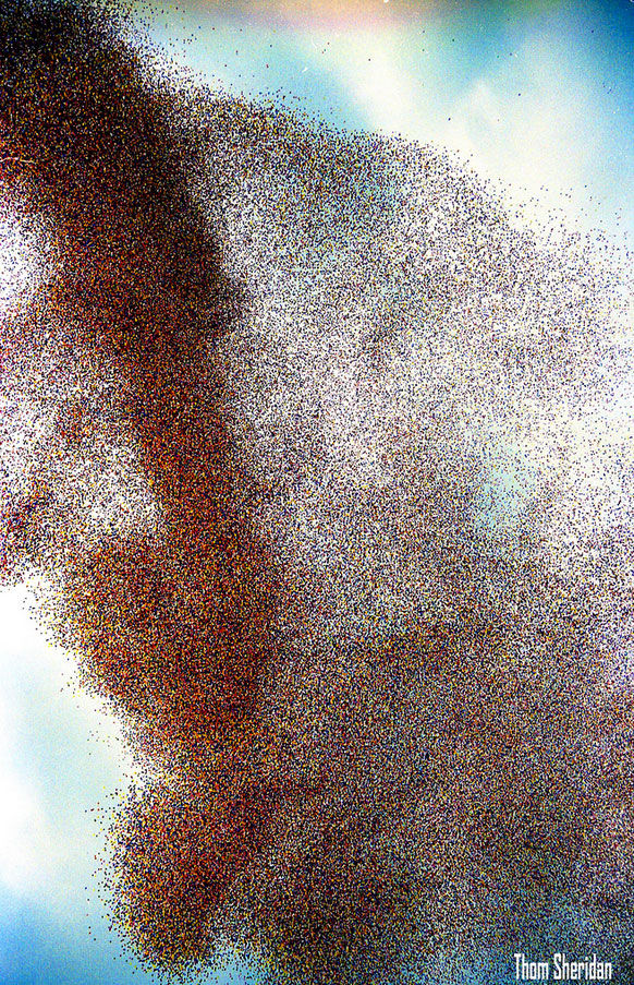 Мировой рекорд по количеству шариков, в Кливленде, погибли 2 яхтсмена, аэропорт Берк Лейкфрон