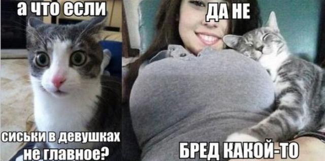 Позитив, юмор, смешные фотографии,прикол