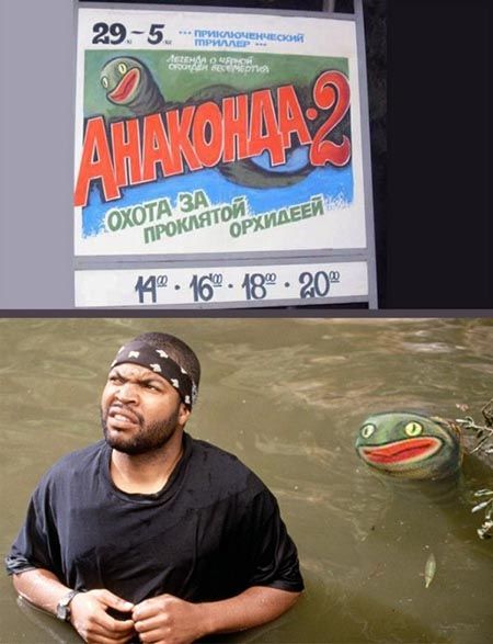 Позитив, юмор, смешные фотографии,прикол