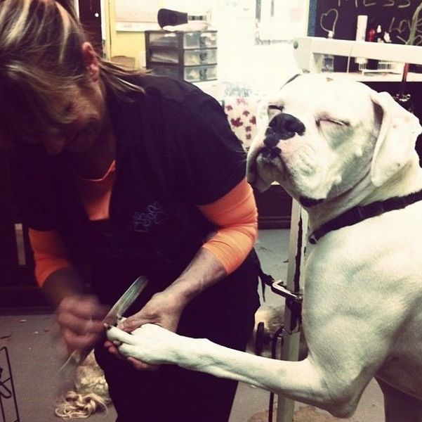 Позитив, юмор, смешные фотографии,прикол