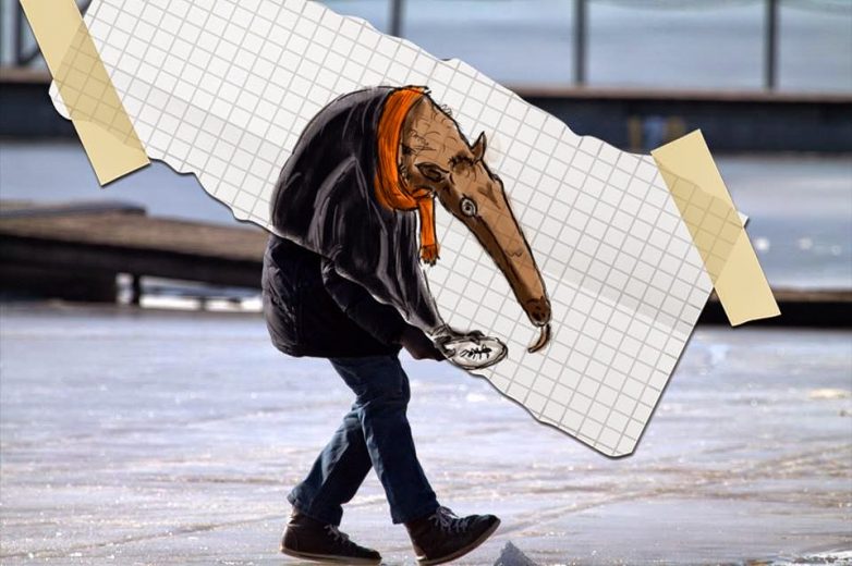 рисунки на фотографиях, иллюстрации на фотографиях, Алекса Носнего, Aleksa Nocnego