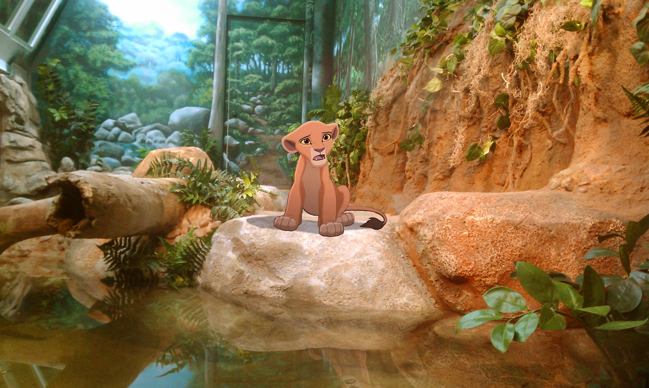 персонажи Диснея в реальном мире, реальные концовки мультфильмов Диснея, что было бы с персонажами мультфильмов