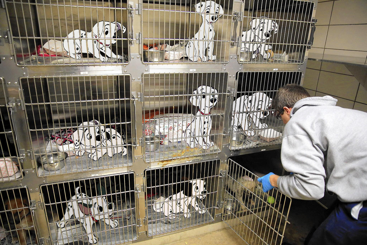 персонажи Диснея в реальном мире, реальные концовки мультфильмов Диснея, что было бы с персонажами мультфильмов