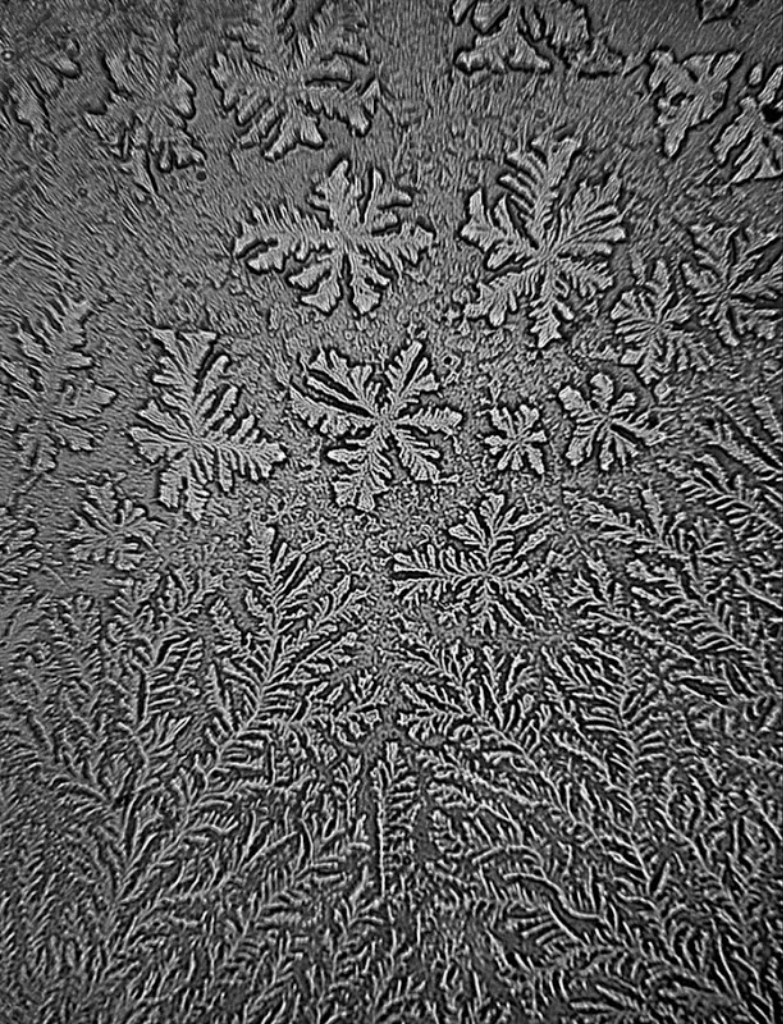 Как меняется структура наших слез, в зависимости от повода, по которому мы плачем структура слез, топография слез, rose-lynn fishe,