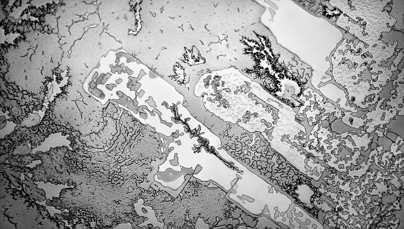 Как меняется структура наших слез, в зависимости от повода, по которому мы плачем структура слез, топография слез, rose-lynn fishe,