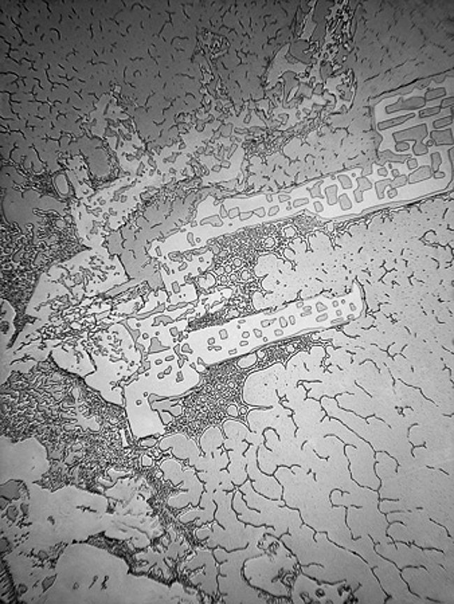 Как меняется структура наших слез, в зависимости от повода, по которому мы плачем структура слез, топография слез, rose-lynn fishe,