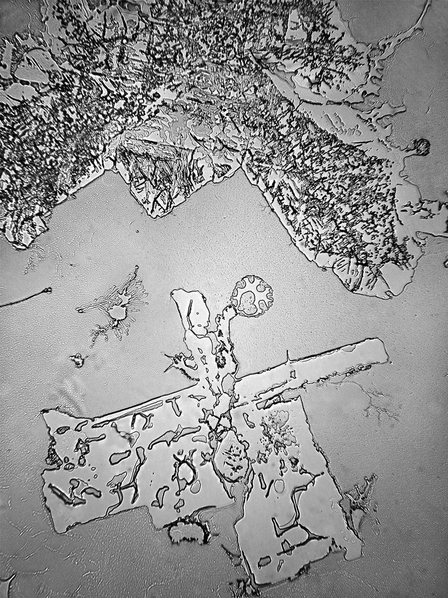 Как меняется структура наших слез, в зависимости от повода, по которому мы плачем структура слез, топография слез, rose-lynn fishe,