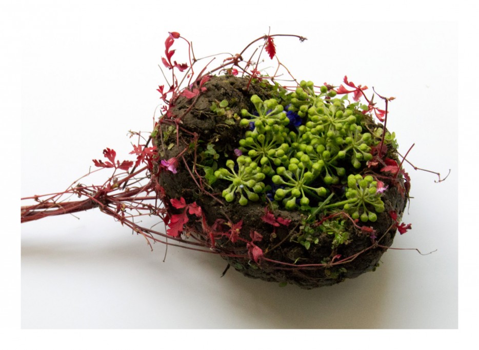 Внутренние органы человека, сделанные из растений от Камилы Карлоу внтуреннние органы из растений, органы человека из растения, Камила Карлоу Camila Carlow