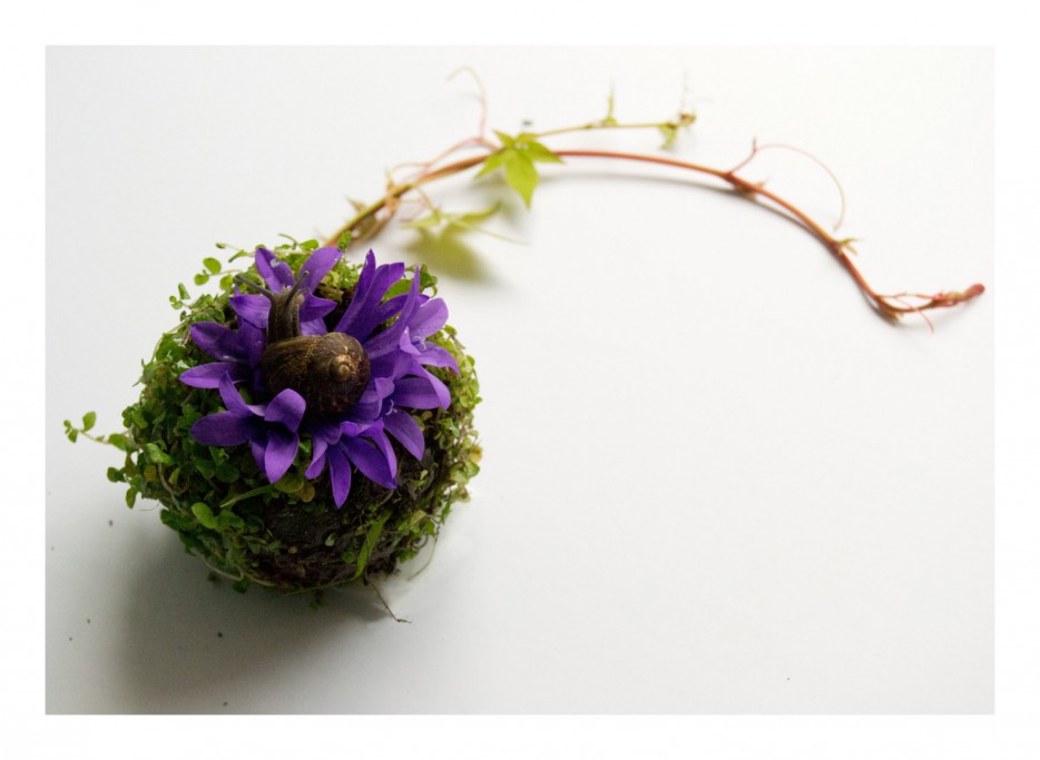 Внутренние органы человека, сделанные из растений от Камилы Карлоу внтуреннние органы из растений, органы человека из растения, Камила Карлоу Camila Carlow