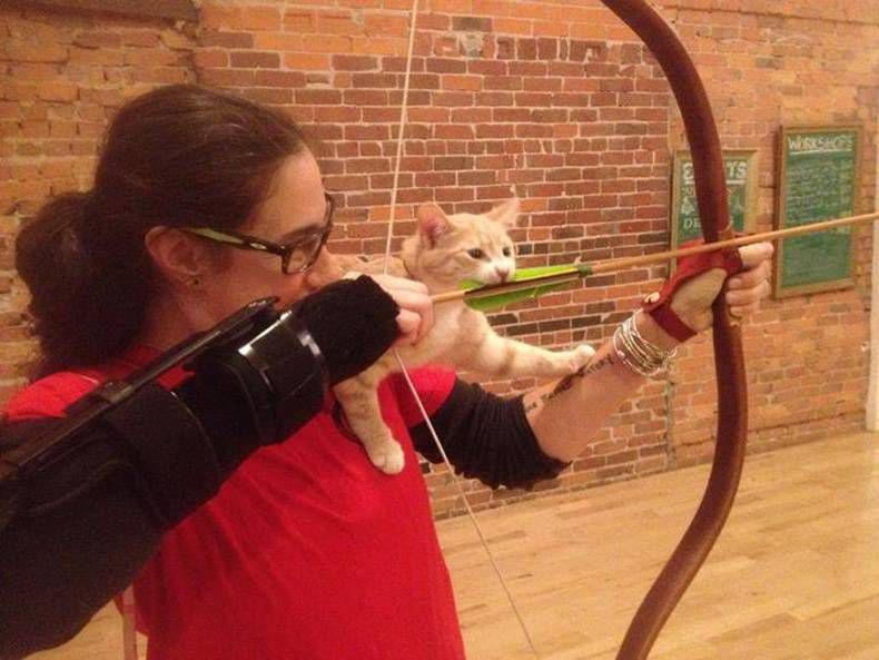 смешные кошки коты, кошки странные места поспать, коты неподходящие места прилечь, кошки выбирают место