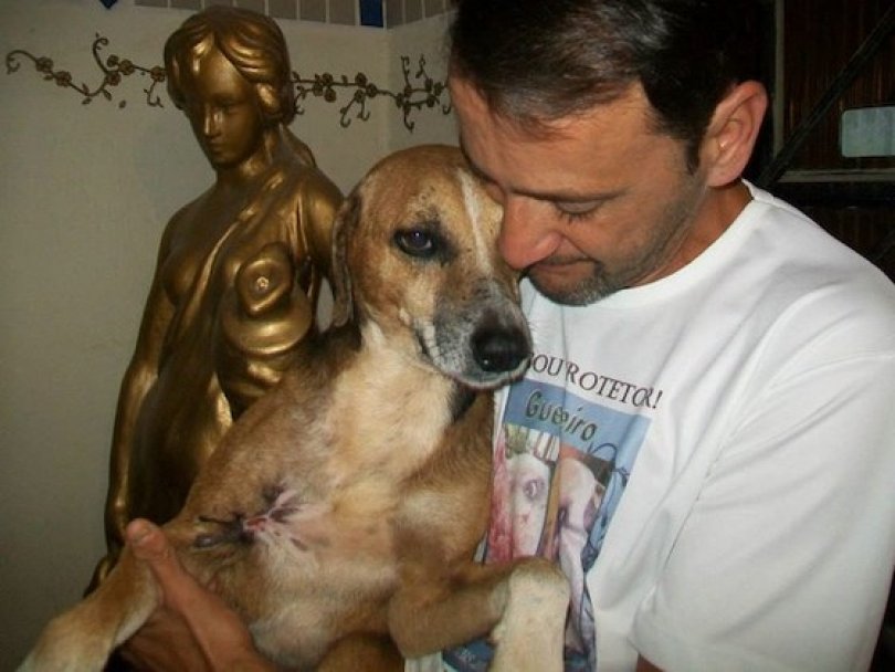 Спасение истощённой бродячей собаки, находящейся на волосок от смерти Уилсон Мартинс Коутиньо Wilson Martins Coutinho, спасение собаки, Флоренцо, собака личинки паразиты