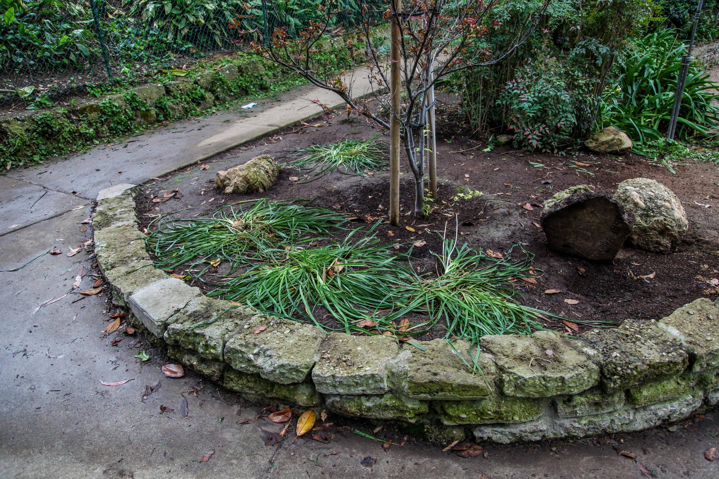 парк после поиска сокровищ, в пакре были спрятаны деньги, поиск денег парк Уиттиер