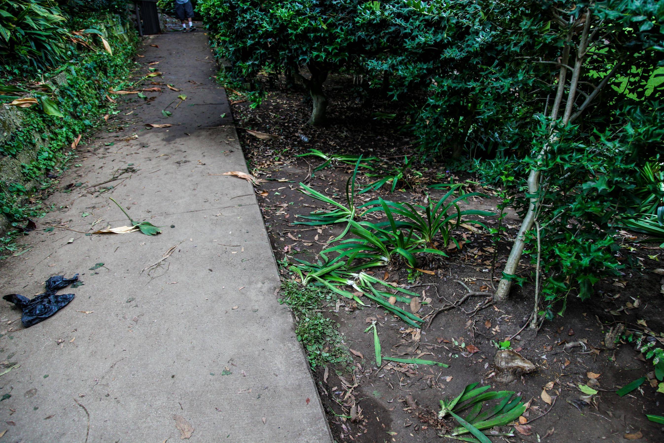парк после поиска сокровищ, в пакре были спрятаны деньги, поиск денег парк Уиттиер