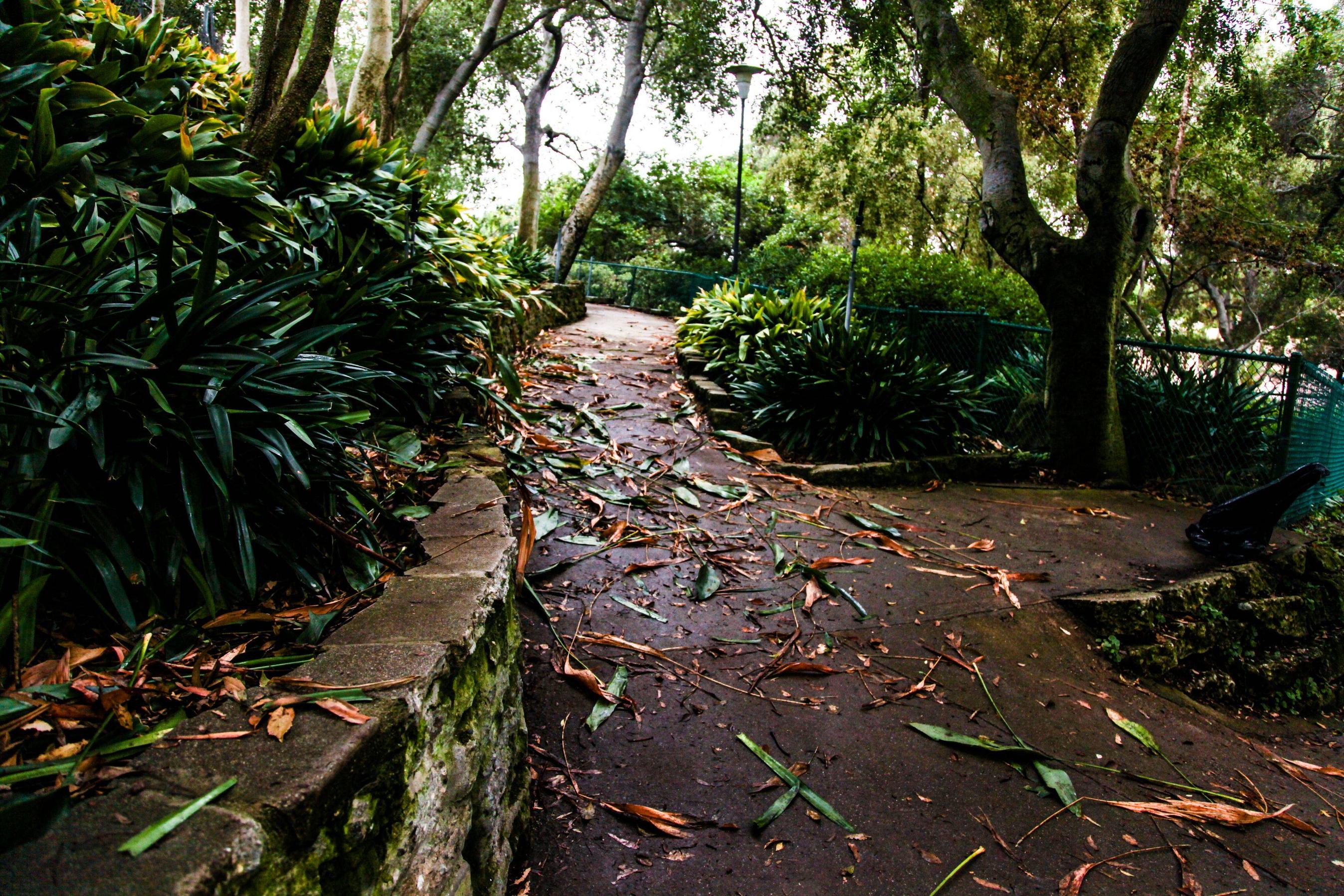 парк после поиска сокровищ, в пакре были спрятаны деньги, поиск денег парк Уиттиер