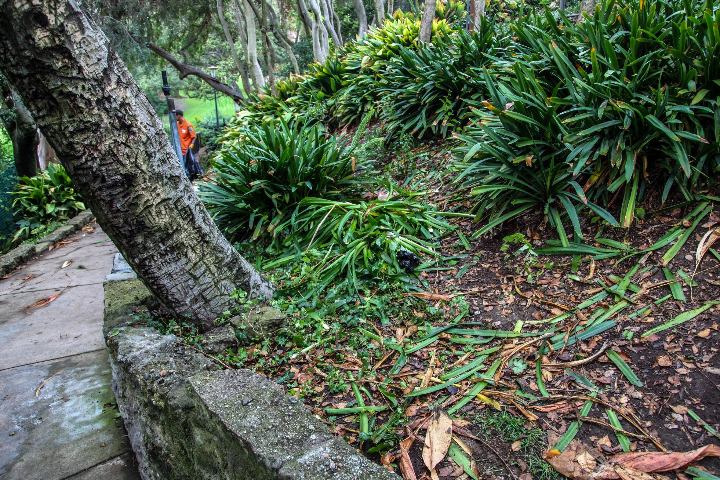 парк после поиска сокровищ, в пакре были спрятаны деньги, поиск денег парк Уиттиер