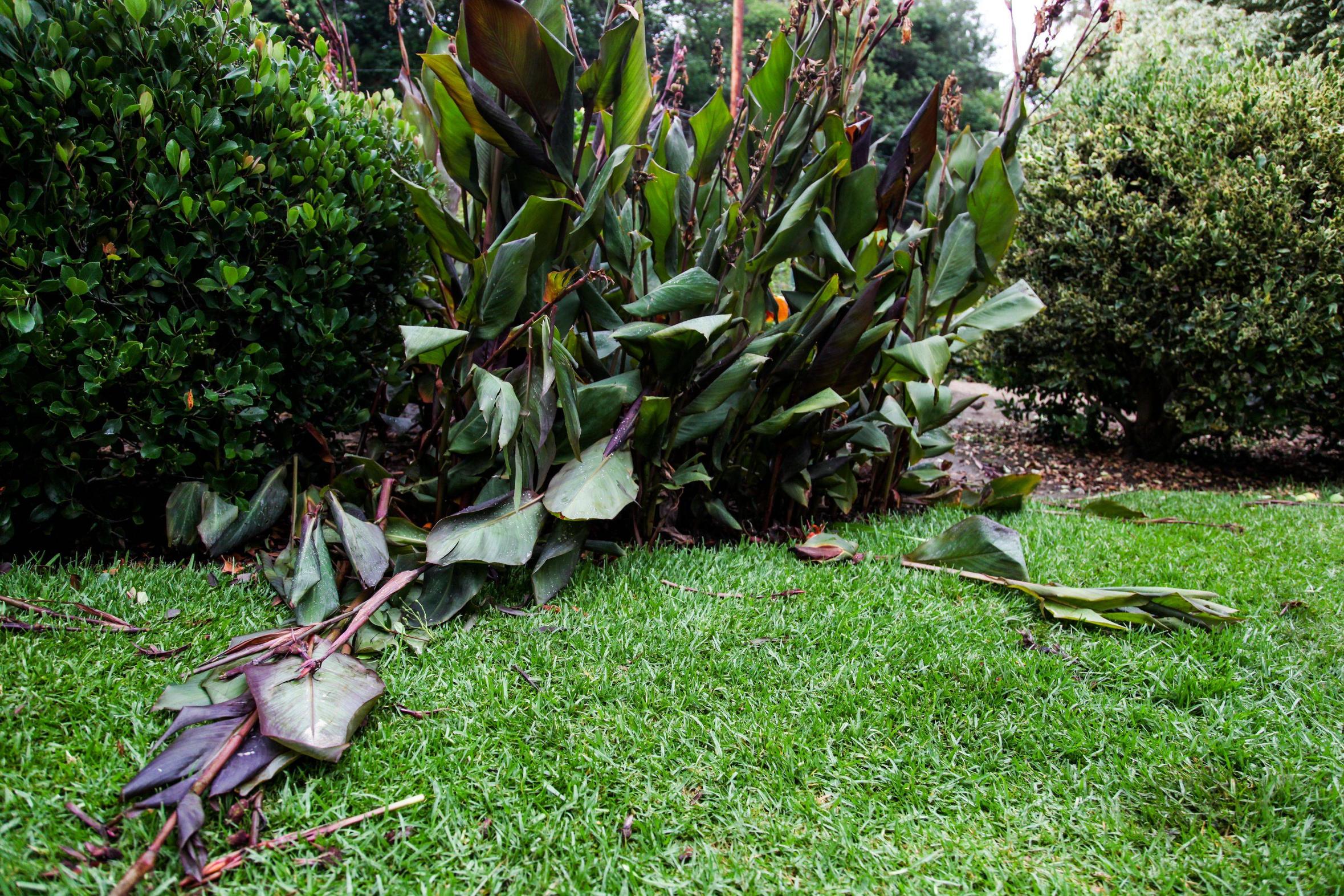 парк после поиска сокровищ, в пакре были спрятаны деньги, поиск денег парк Уиттиер
